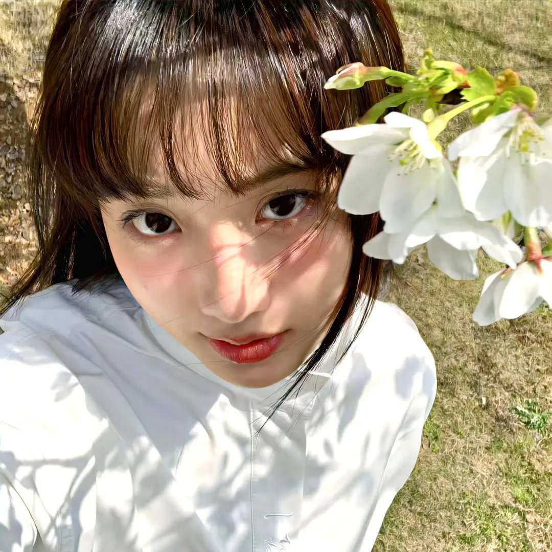 灰鸽子之歌